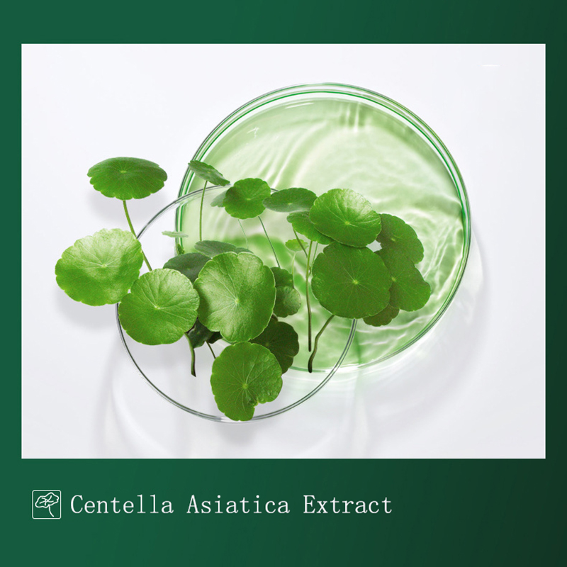 8pcs Centella Mud Mask Anti-Ac - Dust Mask Construction 评论和价格